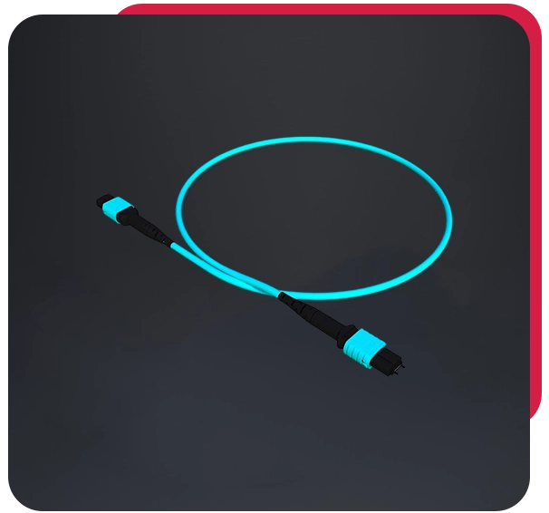 MPO Patch Cords Supplier in Dubai, UAE