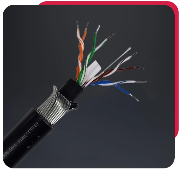 D-Link Cat6 Outdoor Cable Supplier in Dubai, UAE