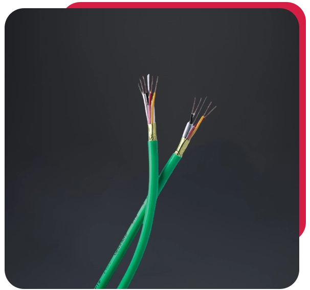 EIB BUS Cables Supplier in Dubai, UAE