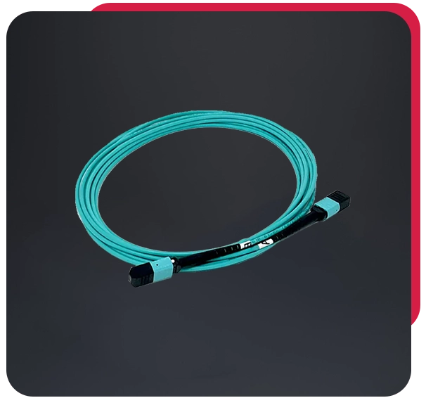 MTP Patch Cords Supplier in Dubai, UAE